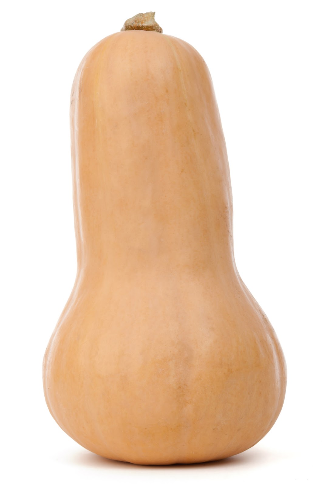 From The Birds And The Bees To Family Trees The Butternut Index from-the-birds-and-the-bees-to-family-trees-the-butternut-index